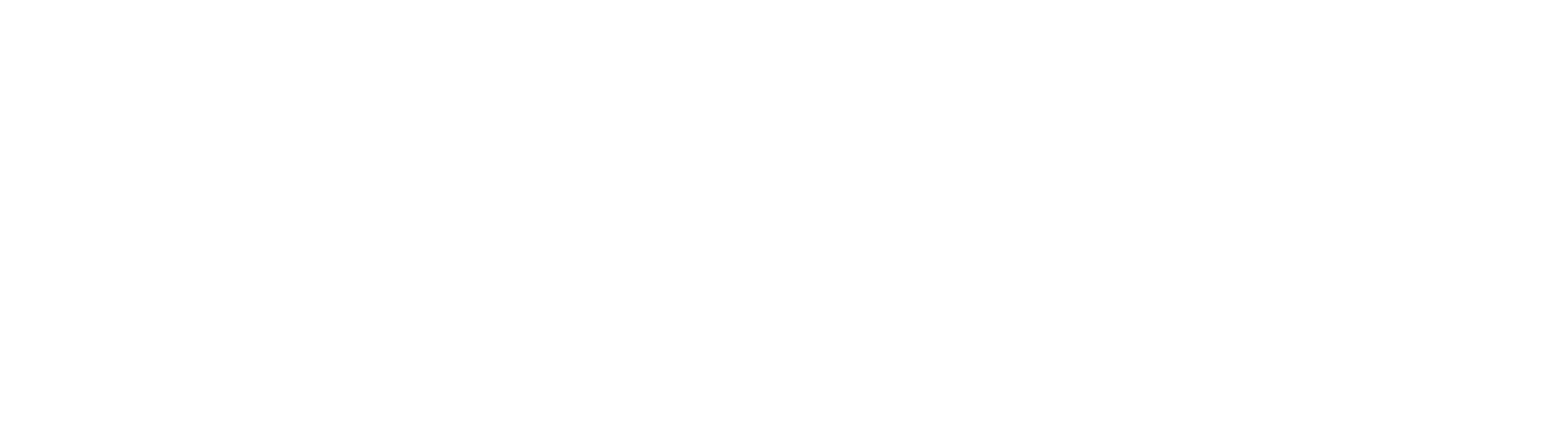 DistriBrain